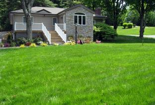 No Watering in July